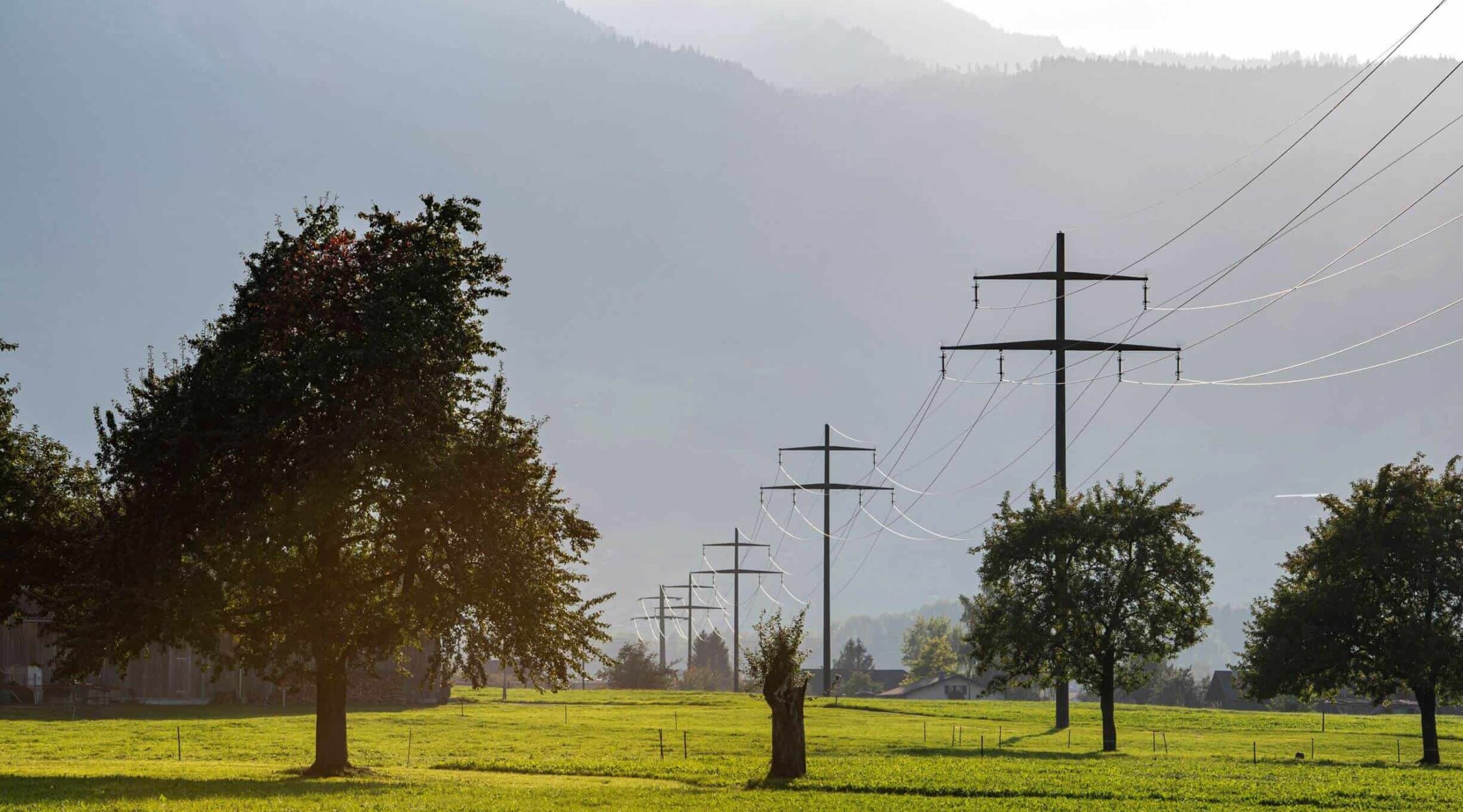 Netz-Netzprodukte-2250x1250