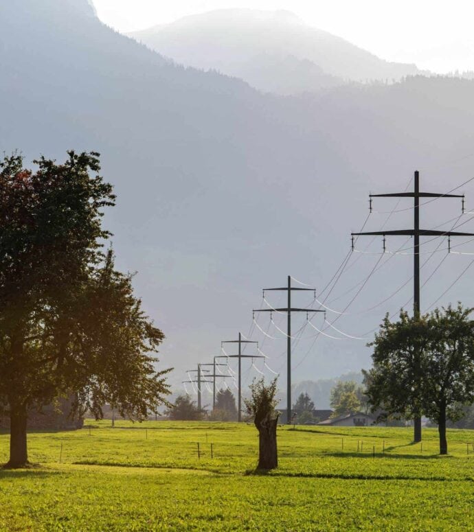 Netz-Netzprodukte-690x775