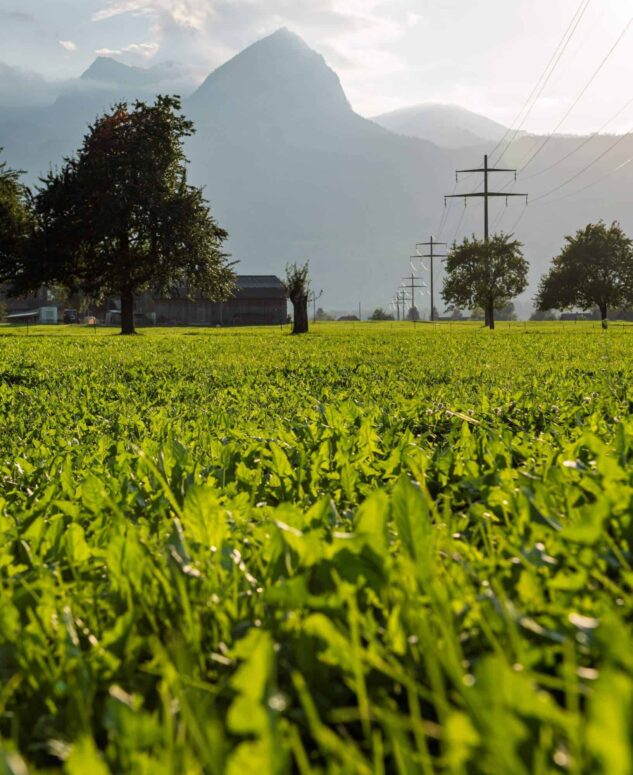 Stromprodukte-MarktStrom-Stromleitung-Giswil-633x775