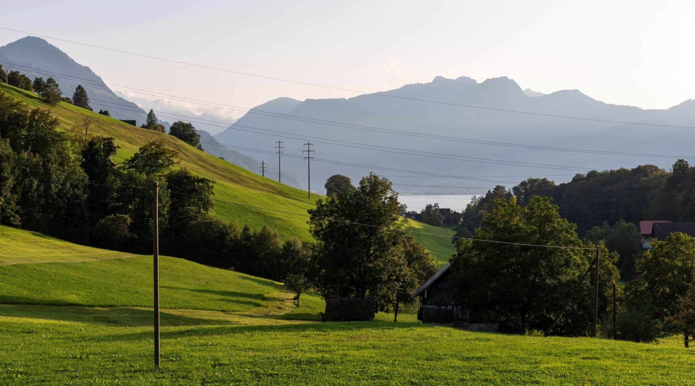 Stromprodukte-MarktStrom-Stromleitungen-2250x1250