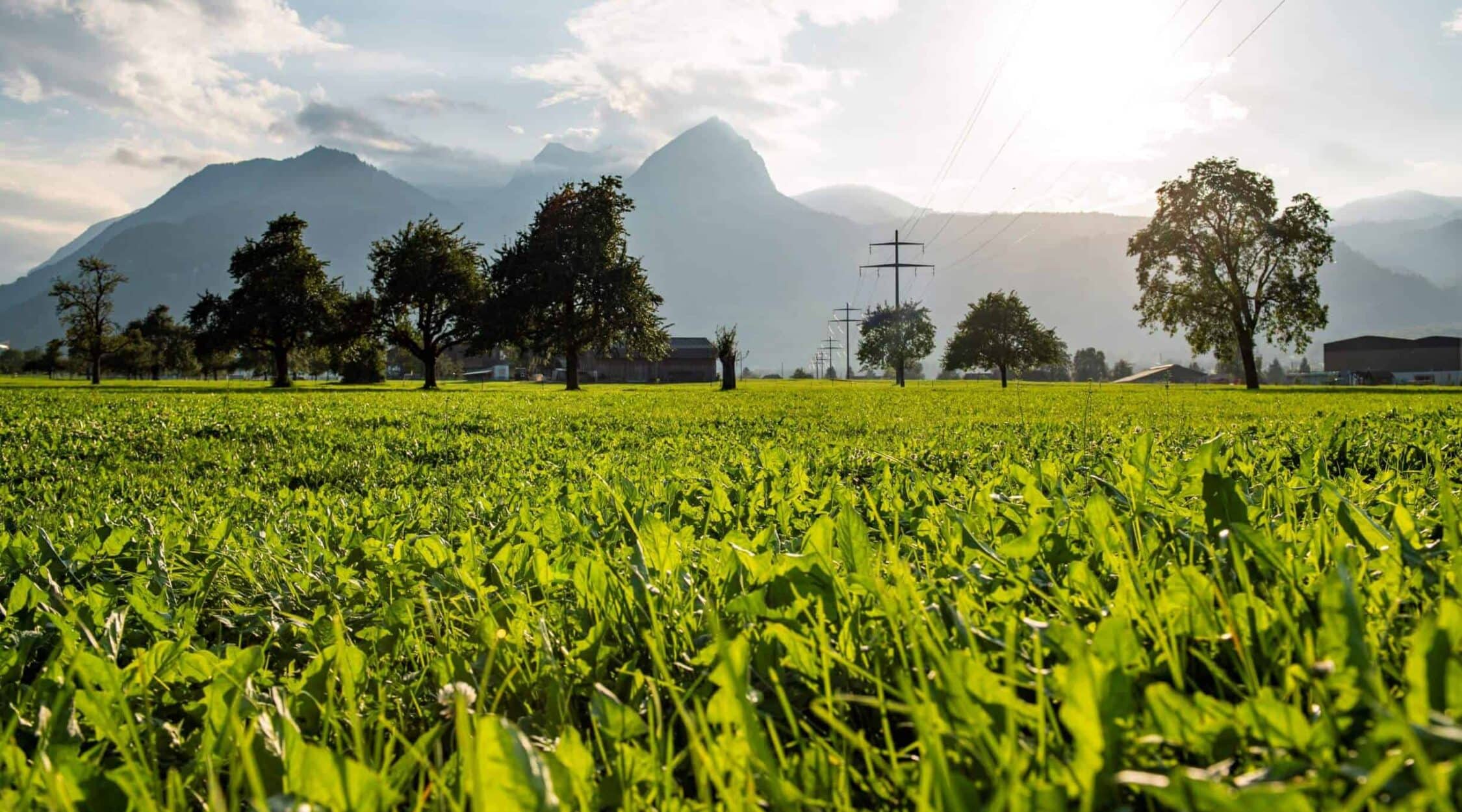 Versorgungssicherheit-2250x1250