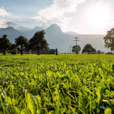 Versorgungssicherheit-400x400