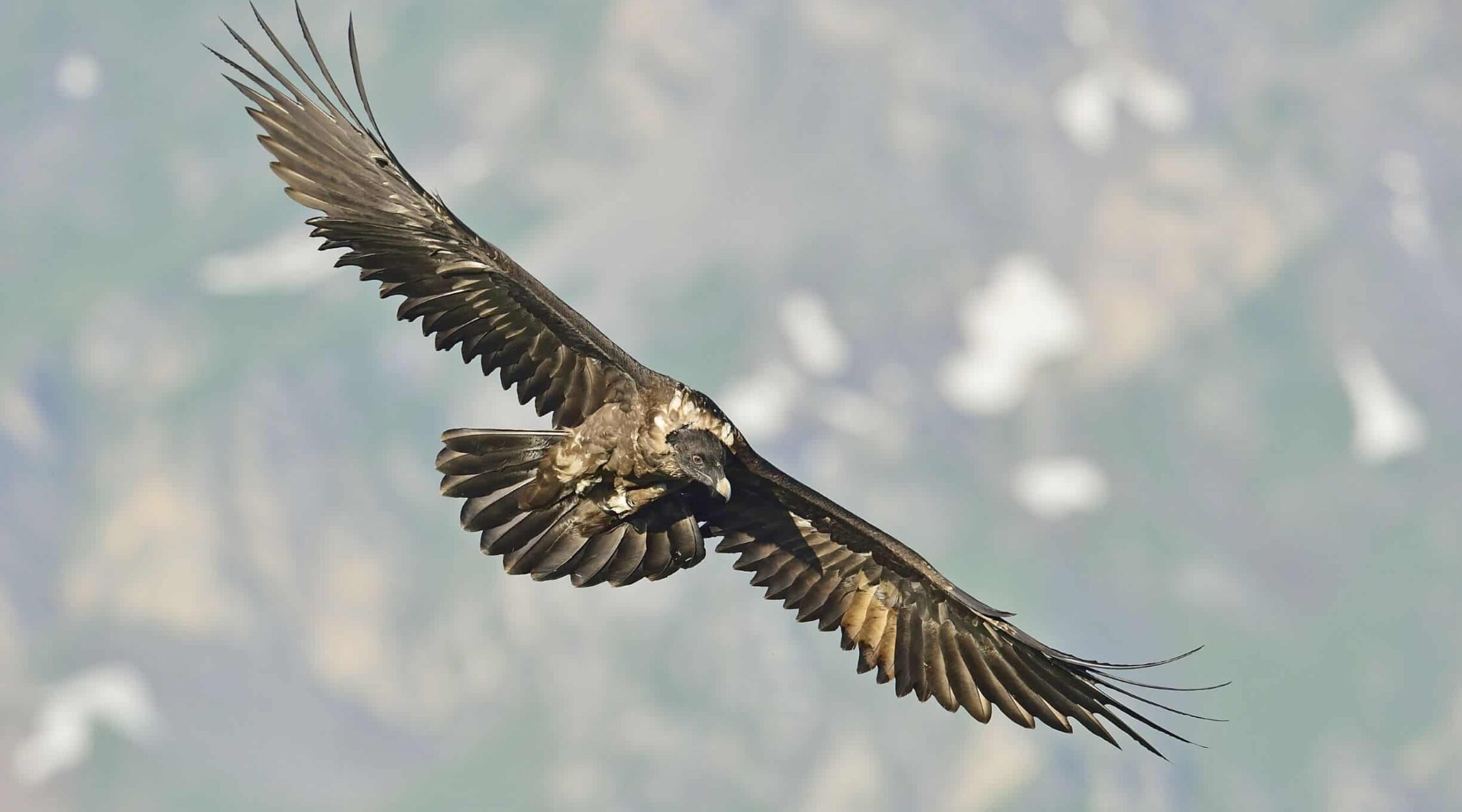 Überuns-Engagement-Ewolina-1-2250x1250