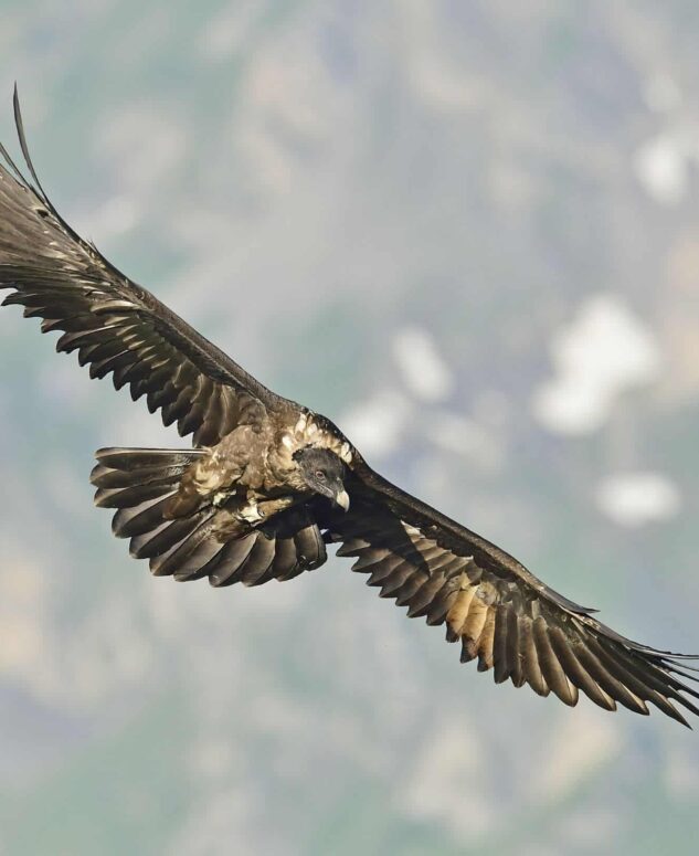 Überuns-Engagement-Ewolina-1-633x775