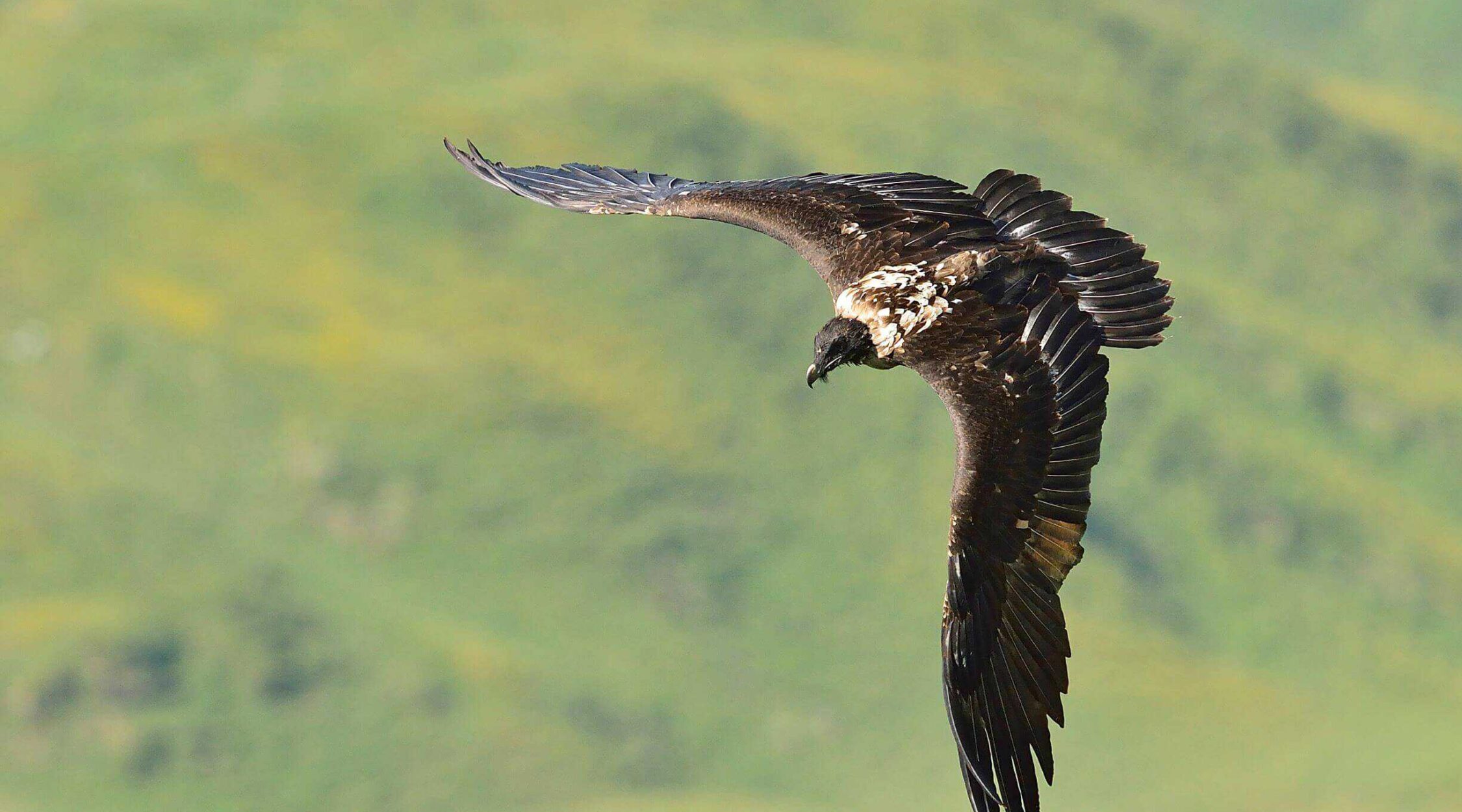 Überuns-Engagement-Ewolina-2--2250x1250