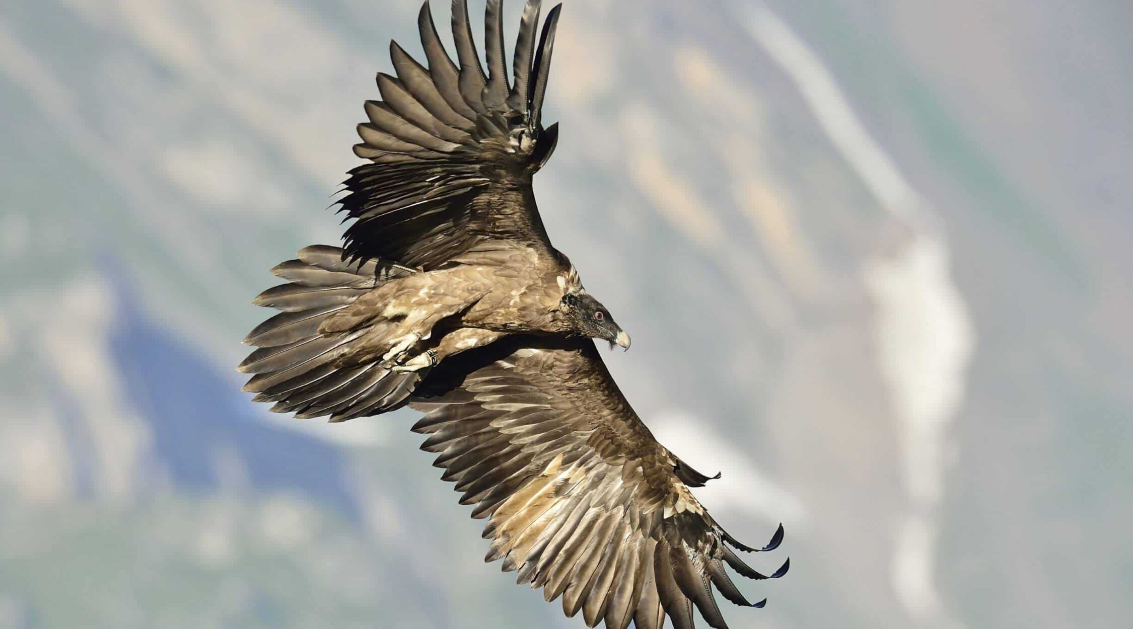 Überuns-Engagement-Ewolina-2250x1250