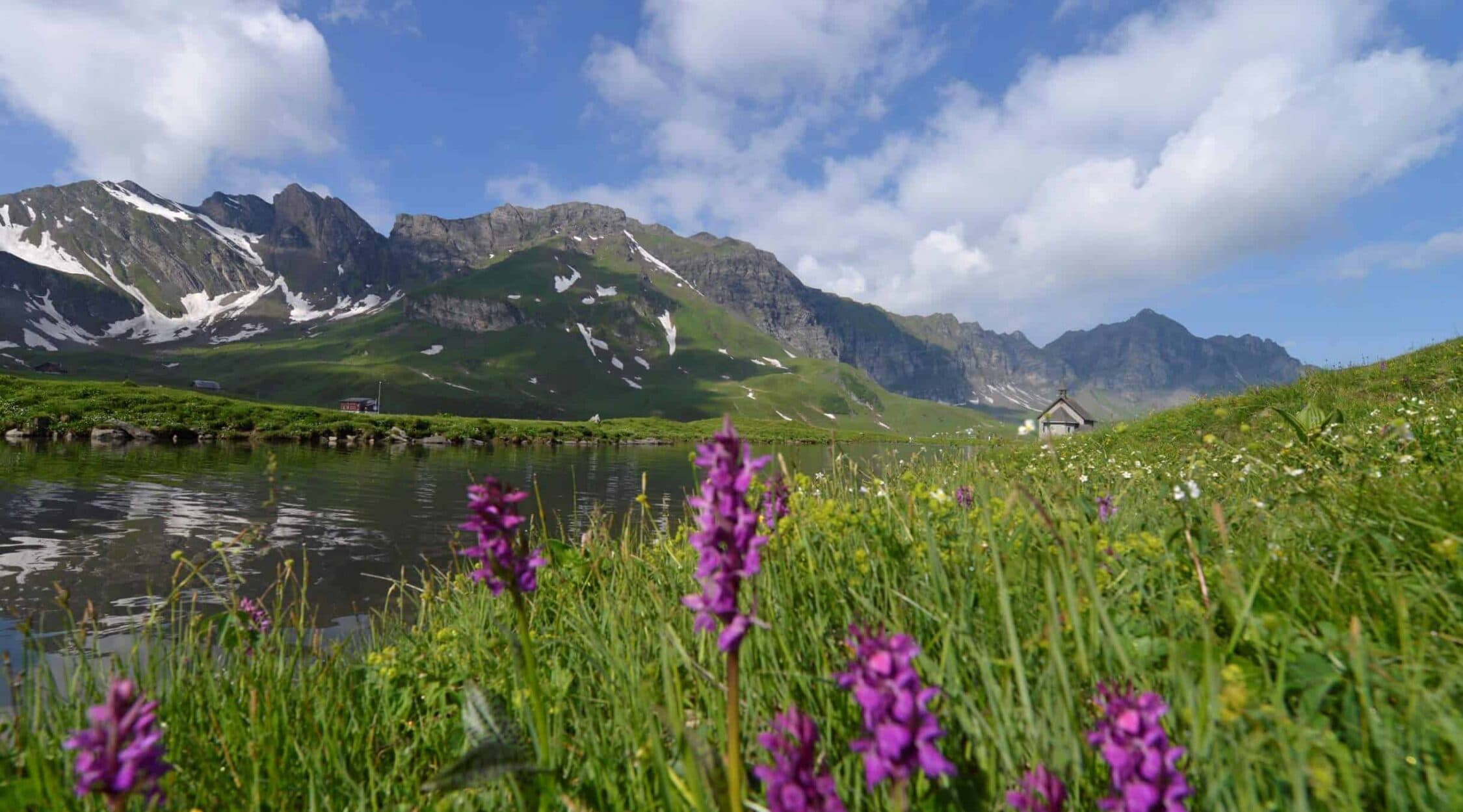 Überuns-Engagement-Frutt-2250x1250