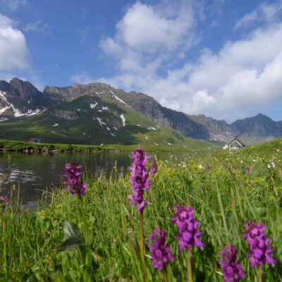 Überuns-Engagement-Frutt-400x400