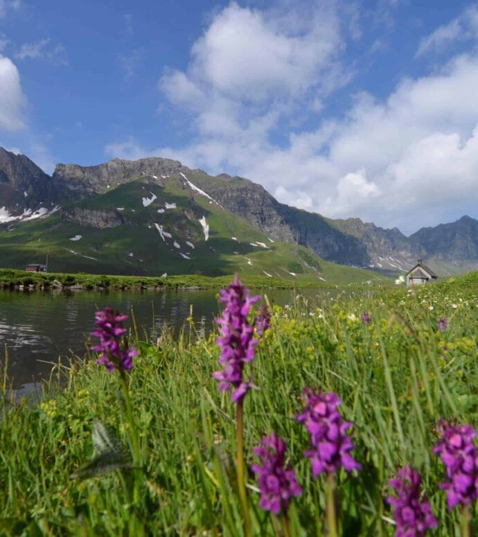 Überuns-Engagement-Frutt-690x775