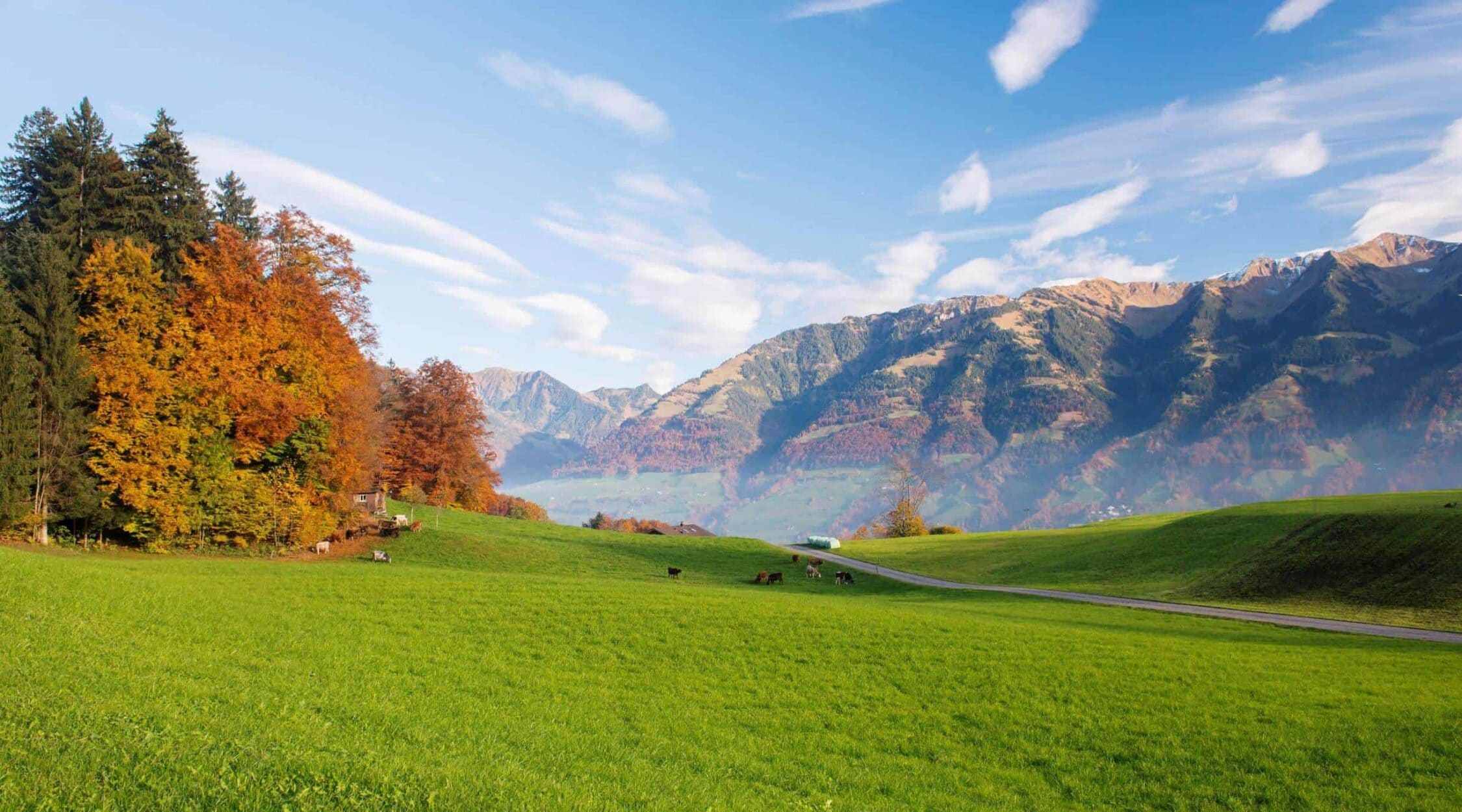 Überuns-Engagement-Herbst-2250x1250