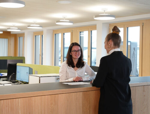 Kundendienst_Kundenberatung-500x380