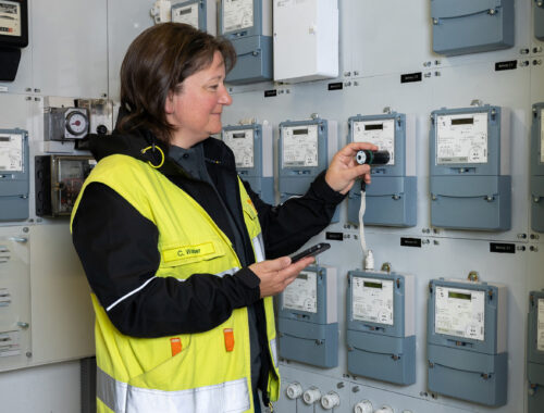 EWO03439_Website-500x380