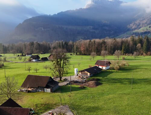 DJI_20250318081554_0030_D-500x380