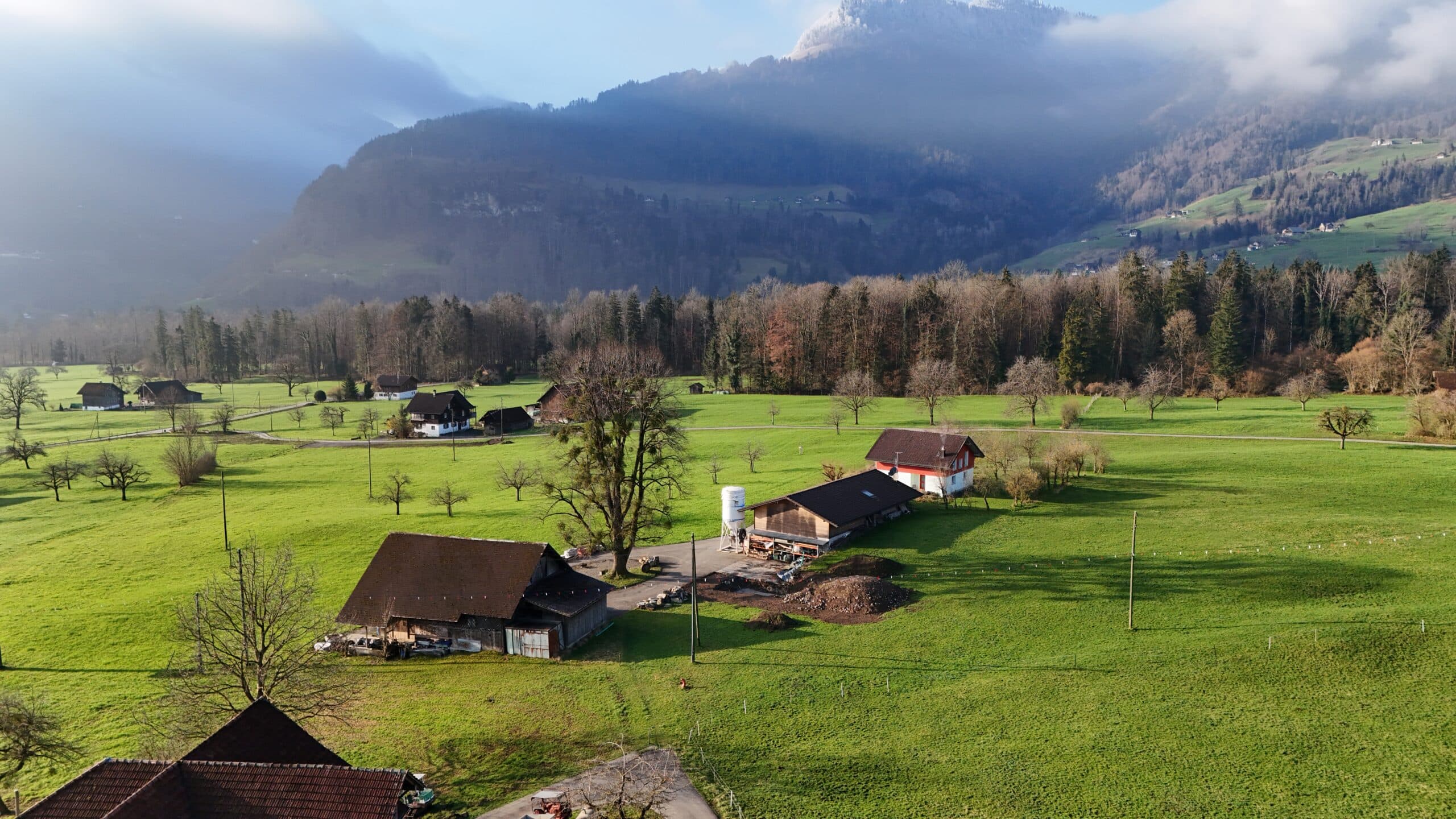 DJI_20250318081554_0030_D-scaled