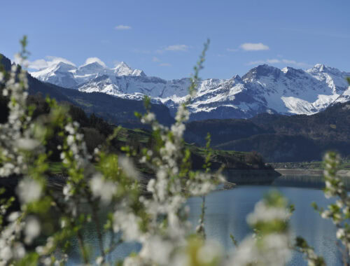2012-Lungerersee-Fruehling_k-500x380