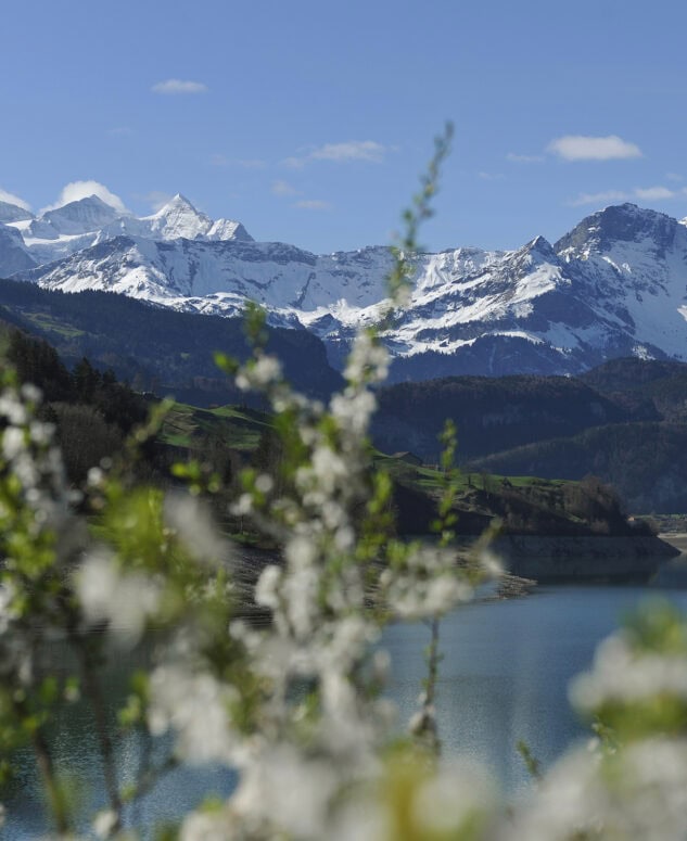 2012-Lungerersee-Fruehling_k-633x775