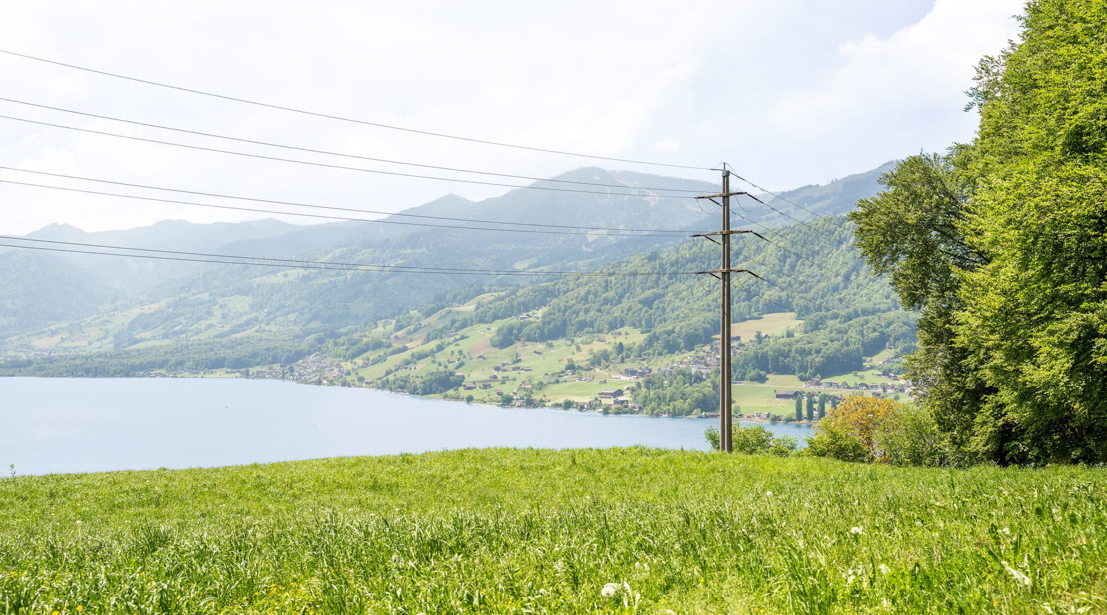 EWO01251_header_k-2250x1250