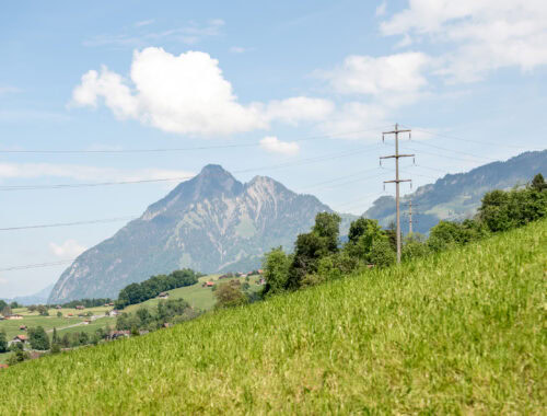 EWO01284_header_k-500x380