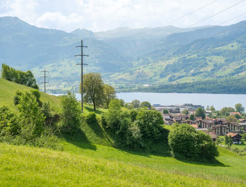 2026-Sachseln-Stromleitung-Sarnersee-2-500x380