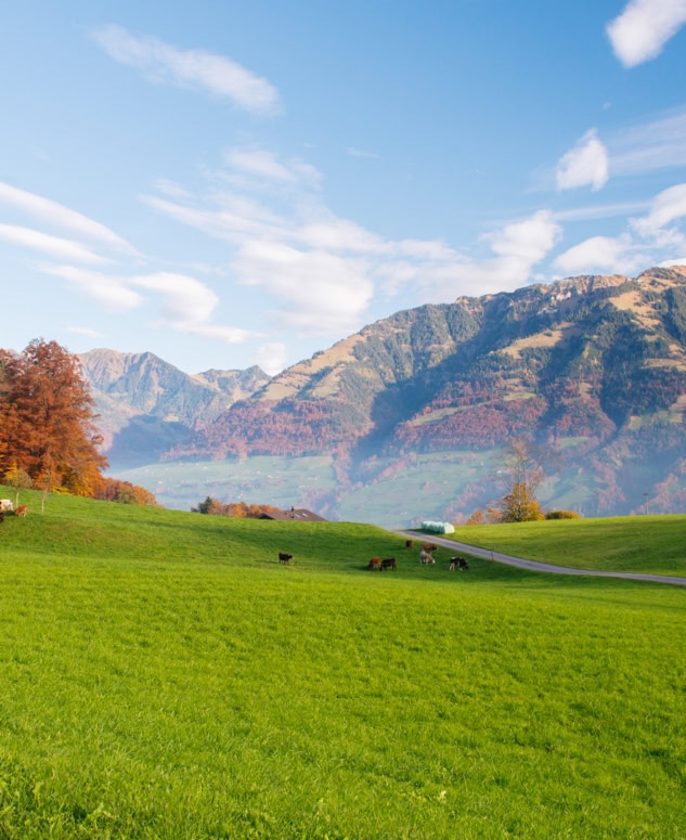 Auf dem Bild sieht man das herbstliche Bergpanorama der Sachlser Berge von der Sicht aus Stalden in Obwalden.