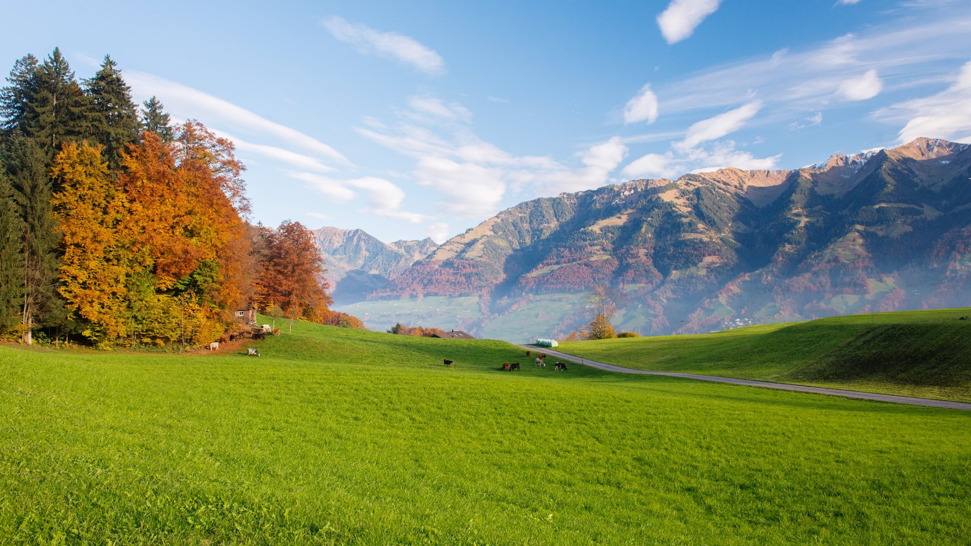 Auf dem Bild sieht man das herbstliche Bergpanorama der Sachlser Berge von der Sicht aus Stalden in Obwalden.
